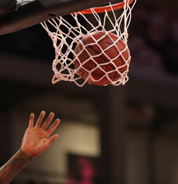 篮球领域的 篮球领域的